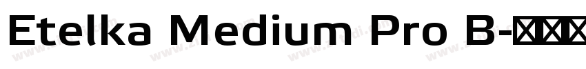 Etelka Medium Pro B字体转换 Etelka Medium Pro B字体转换